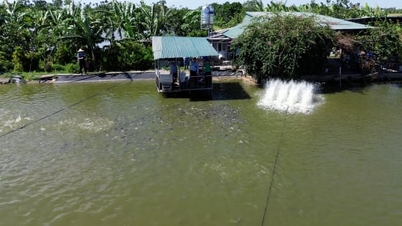 Wykorzystanie soi amerykańskiej pozwala na redukcję emisji CO₂ o około 200 kg/tonę paszy