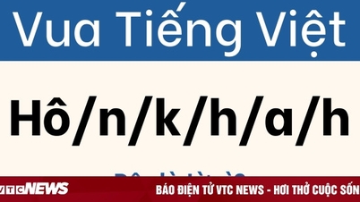 99% ຂອງກະສັດຫວຽດນາມຖືກຫຼອກລວງໂດຍປິດສະໜານີ້
