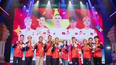 Socjalizacja sportu: