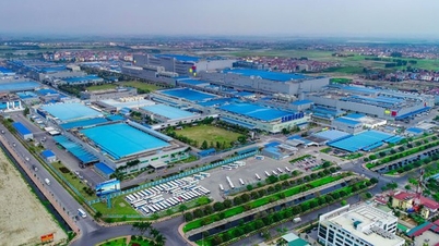 Bac Ninh: پرائیویٹ انٹرپرائزز ترقی کے لیے ماسٹر ٹیکنالوجی