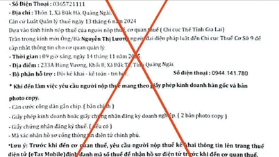 ខេត្ត Quang Ngai៖ ក្លែងបន្លំឯកសាររបស់អាជ្ញាធរពន្ធដារ ដើម្បីប្រព្រឹត្តិការក្លែងបន្លំ