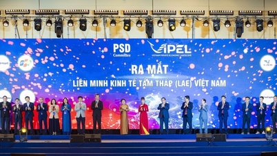 Ra mắt Liên minh Kinh tế tầm thấp, tham gia thị trường 700 tỷ USD