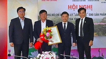 Ο καφές Lam Dong είναι πιστοποιημένος ως Γεωγραφική Ένδειξη.