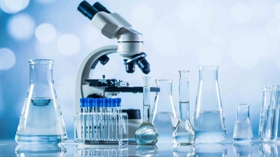 Τα δικαιώματα πνευματικής ιδιοκτησίας γίνονται περιουσιακά στοιχεία που εισφέρονται στην επιχείρηση