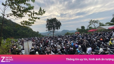 Ba Vi er overfylt igjen fra 04:00 i sesongen for ville solsikke