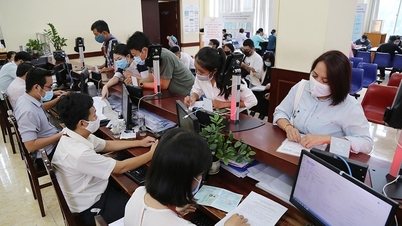 ক্যাডার, বেসামরিক কর্মচারী এবং সরকারি কর্মচারীদের সংগঠন এবং ব্যবস্থাপনা সম্পর্কে