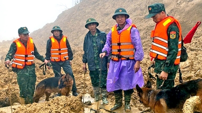 Сильні дощі тимчасово призупинили пошуки трьох жертв жахливого зсуву в Данангу