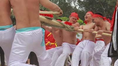 ویتنام اور کوریا کے درمیان ٹگ آف وار ورثے کا دلچسپ تبادلہ اور کارکردگی