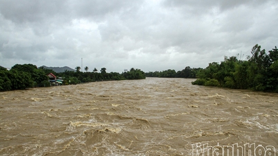 Mưa lớn, cảnh báo lũ trên các sông