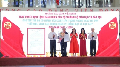 De enige niet-openbare hogeschool ontving een certificaat van verdienste van het Ministerie van Onderwijs en Opleiding voor haar uitzonderlijke prestaties.