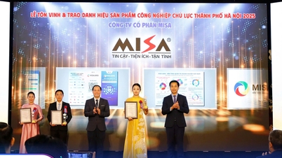 MISA AMIS se află în TOP 10 Produse Industriale Cheie din Hanoi în 2025