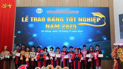 Die Technische Universität Danang verlieh fast 500 Studenten Diplome.