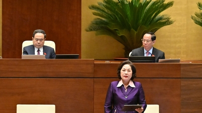 예금보험법 개정안: 특례 판단 근거 규정