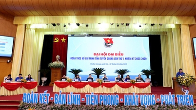 សម័យប្រជុំលើកទី១ នៃមហាសន្និបាតលើកទី១ សម្ព័ន្ធយុវជនកុម្មុយនិស្តហូជីមិញ ខេត្ត Tuyen Quang