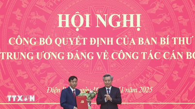 Numirea și transferul domnului Le Van Luong în funcția de secretar adjunct al Comitetului de Partid din Provincia Dien Bien