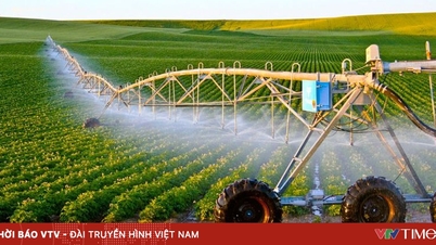 Vietnam İşletmeleri: Küresel "Yeşil Dalga"da Hayatta Kalmak