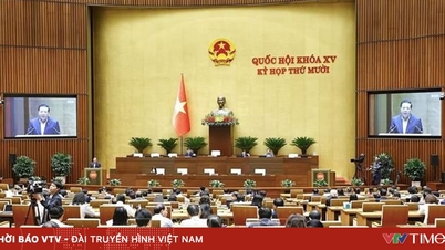 ការងារសប្តាហ៍ទី៥ នៃសម័យប្រជុំលើកទី១០ រដ្ឋសភាផ្តោតលើការងារនីតិបញ្ញត្តិ