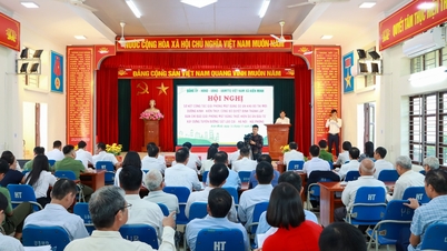 Kien Minh បានបញ្ចប់ការពិនិត្យមើលប្រភពដើមដីរបស់ប្រជាពលរដ្ឋជាង 400 គ្រួសារ ដើម្បីឈូសឆាយដីសម្រាប់គម្រោងផ្លូវដែក។