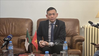 Başbakan Pham Minh Chinh'in ziyareti, Vietnam-Cezayir ilişkilerini yeni zirvelere taşımayı vaat ediyor