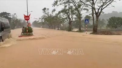 باران شدید، ۲۰ خانوار را در بخش A Luoi 2 در هوئه به مکان امن منتقل کرد.