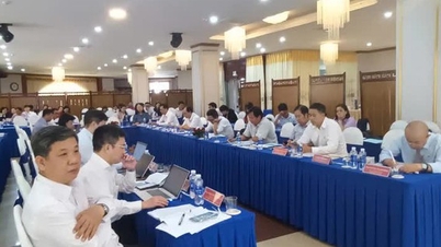 Kränkningar av immateriella rättigheter "eskalerar" i den digitala världen