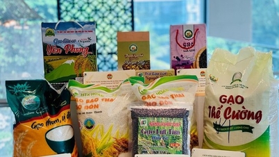 Важные замечания о правах интеллектуальной собственности при выходе компаний на китайский рынок