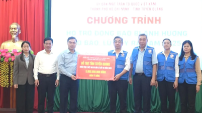 TPHCM hỗ trợ Tuyên Quang và Lào Cai khắc phục thiệt hại do bão lũ