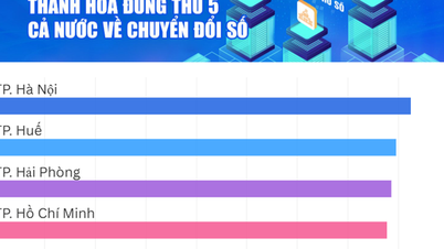 טאנה הואה מדורגת במקום החמישי במדינה בטרנספורמציה דיגיטלית עד 2024