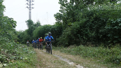 वियतनाम - चीन मैत्री प्रतीक