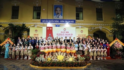 Front Tanah Air Vietnam: Panji persatuan nasional