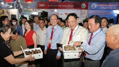 Khai mạc Ngày hội cua Cà Mau lần thứ 2 năm 2025