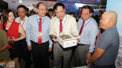 Фестиваль крабов в Ка-Мау 2025: чествование продуктов земли, расширение пространства для развития