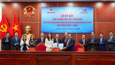 Ca Mau a semnat un acord de cooperare cuprinzător cu Universitatea Națională Ho Chi Minh City pentru perioada 2025-2030