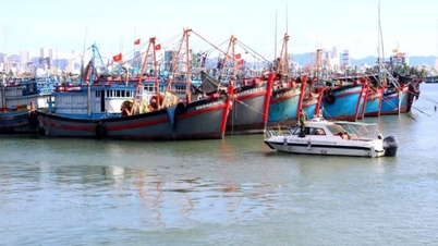 Khanh Hoa-provinsen är enade och fast beslutna att få det IUU-gula kortet hävt.