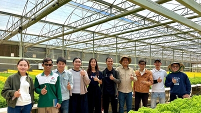 استراتيجية مدتها 5 سنوات لتطوير نظام بيئي جديد