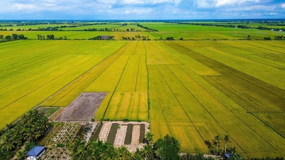 विन्ह होआ, एक वीर समुदाय की नई यात्रा
