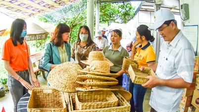 OCOP कार्यक्रम के अनुसार ग्रामीण क्षेत्रों के उत्पाद बदलते हैं