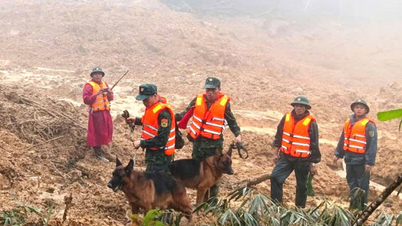 מאמצי החיפוש אחר נעדרים במפולת נמשכים