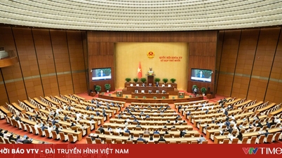 ב-17 בנובמבר, הוגשה לאסיפה הלאומית טיוטת החלטה בנושא מנגנונים ומדיניות ליישום החלטות 71 ו-72.