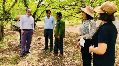 Фермеры Таиланда считают науку и технологии ключом к успеху