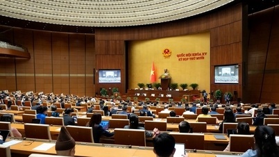 国会は国民のための教育と医療の発展に向けた画期的な仕組みを検討している。