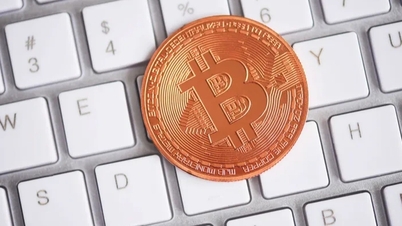 Bitcoin ធ្លាក់ចុះ "ត្រីបាឡែន" សើចយ៉ាងសប្បាយរីករាយ ប៉ុន្តែអ្នកជំនាញផ្តល់ការព្រមានយ៉ាងក្តៅគគុក