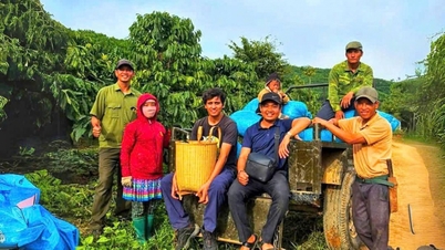 Potential for agricultural tourism in Dak Phoi commune