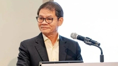 Кому принадлежит Thaco миллиардера Тран Ба Дуонга?