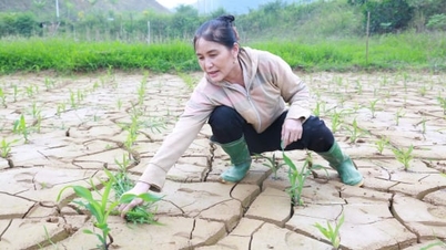 Το Au Lau «διψάει» για χειμερινή-ανοιξιάτικη σοδειά