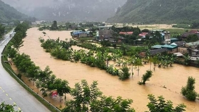 मध्य क्षेत्र में भारी बारिश और बाढ़ पर तत्काल प्रतिक्रिया