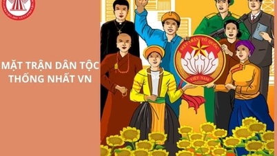 ខួបលើកទី 95 នៃការបង្កើតរណសិរ្សរួបរួមជាតិវៀតណាម (ថ្ងៃទី 18 ខែវិច្ឆិកា ឆ្នាំ 1930 ដល់ថ្ងៃទី 18 ខែវិច្ឆិកា ឆ្នាំ 2025)៖ ការបង្កើត និងអភិវឌ្ឍន៍រណសិរ្សរួបរួមជាតិវៀតណាម