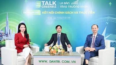 Marchés du carbone : relier politique et pratique