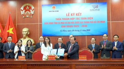 호치민시 국립대학교와 까마우 성은 포괄적 협력 협정에 서명했습니다.