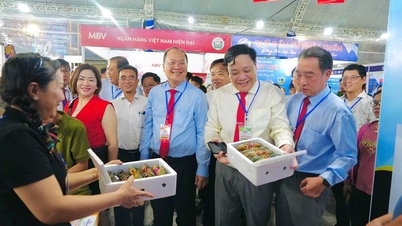 Présentation et promotion des produits sur le stand d'exposition et le salon professionnel du Festival du Crabe de Ca Mau - 2e édition en 2025